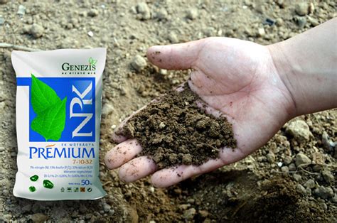 organic npk fertilizer