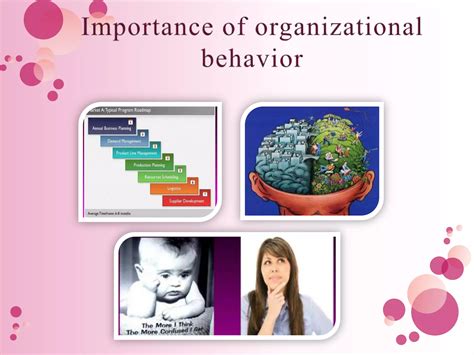 organizational behavior 3 organizational behavior 3 Doc