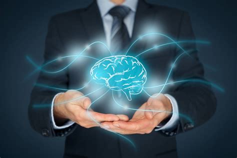 organize your brain personal knowledge management essentials Epub
