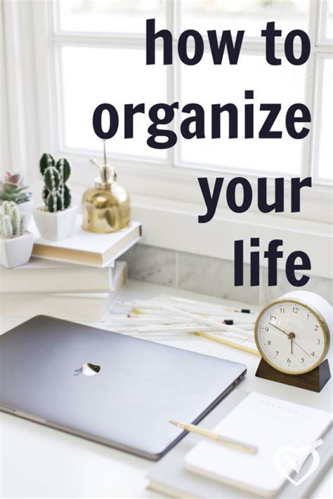organize your life organize your life Reader