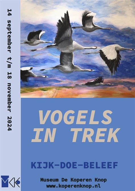 orintatie bij verticale verplaatsing en trek van zeedieren en vogels Epub