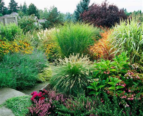 ornamental grasses design ideas uses and varieties Kindle Editon