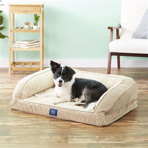 orthopedic dog bed