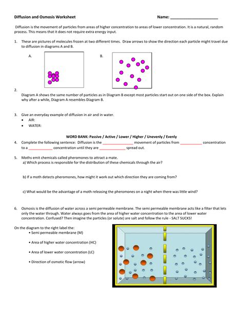 osmosis and diffusion problems answer key PDF