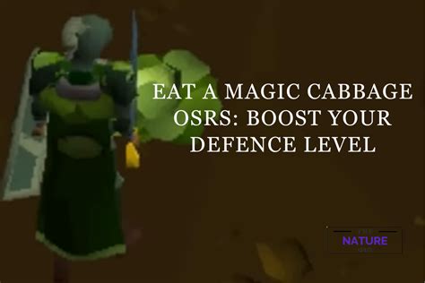 osrs magic boost