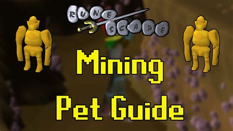 osrs mining pet