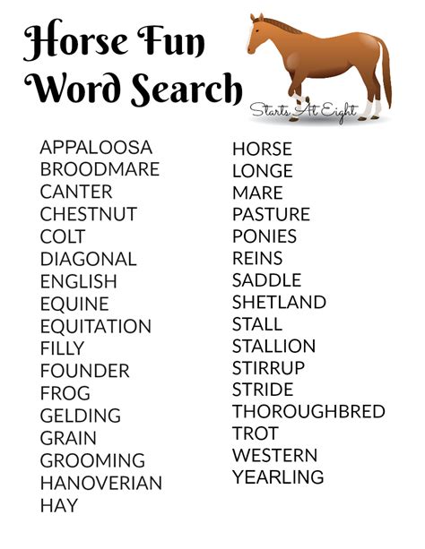 other words for horse