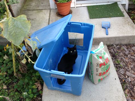 outdoor cat litter box