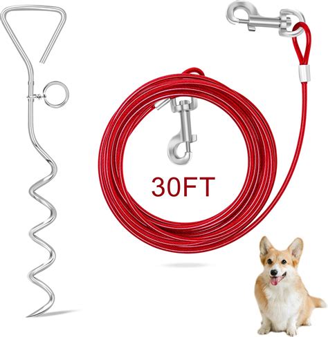 outdoor dog leash