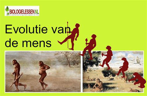 overzicht van de physiologie van de mens Epub