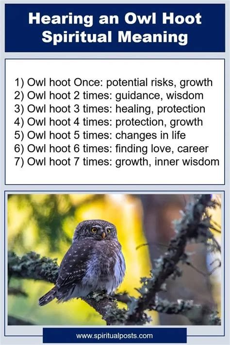 owl hoot meaning