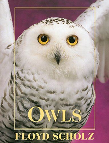 owls an artists guide to understanding owls Doc