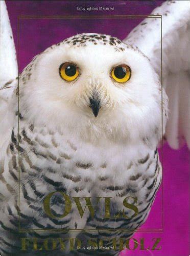 owls an artists guide to understanding owls Doc