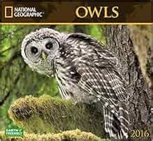 owls national geographic 2016 wall calendar PDF