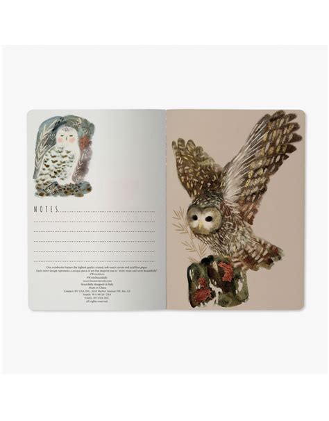 owls notebook slightly smaller perfect Kindle Editon