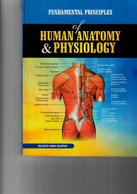 owners manual for the human body pdf pdf Doc