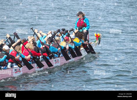 paddles up dragon boat racing in canada PDF