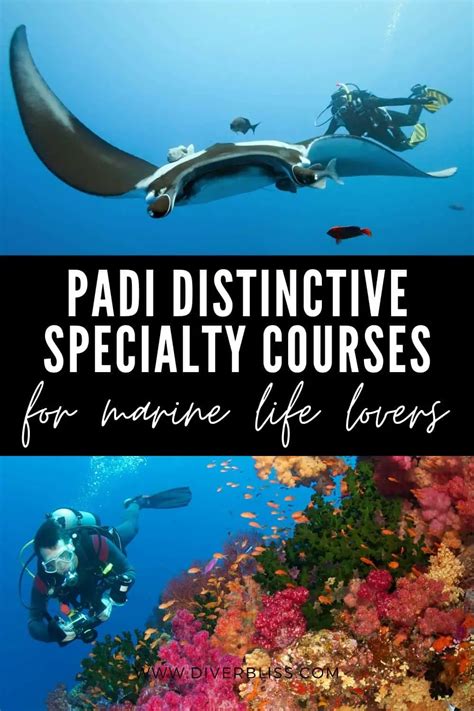 padi distinctive specialty vacuum dredging course outline Ebook Reader