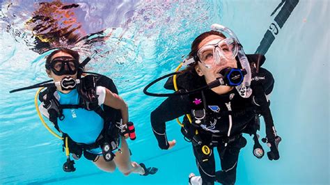 padi open water diver Doc