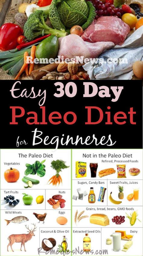 paleo diet blueprint beginners guide for weight loss Reader