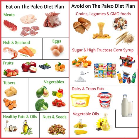 paleo diet for beginners how to begin your weight loss journey Doc