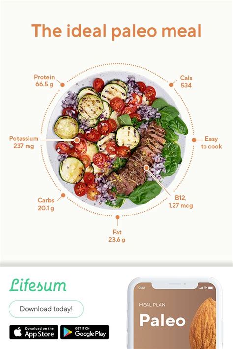 paleo diet tracker pat steele Doc