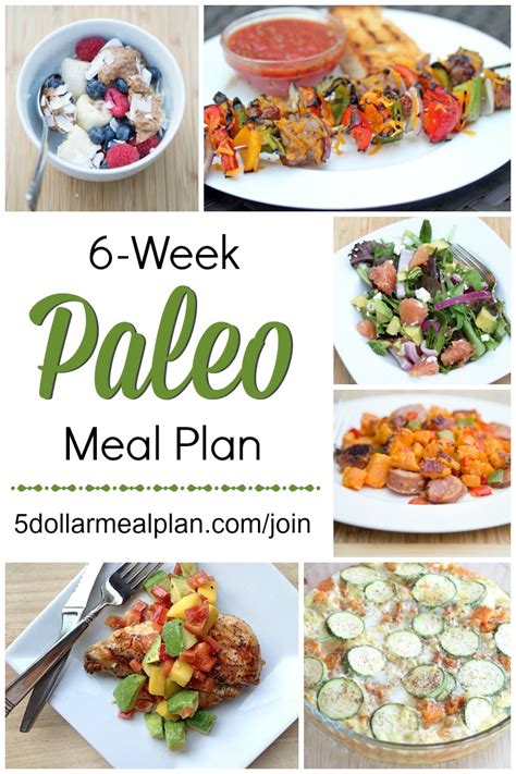 paleo for every day 4 weeks of paleo diet recipes and meal plans to lose weight and improve health Epub