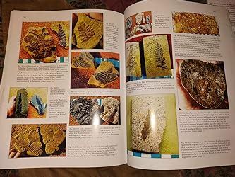 paleozoic fossils schiffer book for collectors Kindle Editon