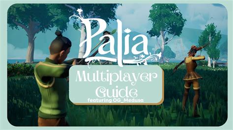 palia multiplayer on switcch