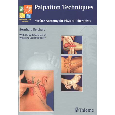 palpation techniques surface anatomy for physical therapists PDF