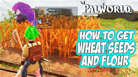 palworld where to get wheat