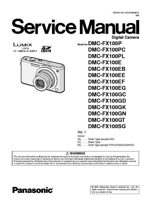 panasonic dmc fx100 manual Doc