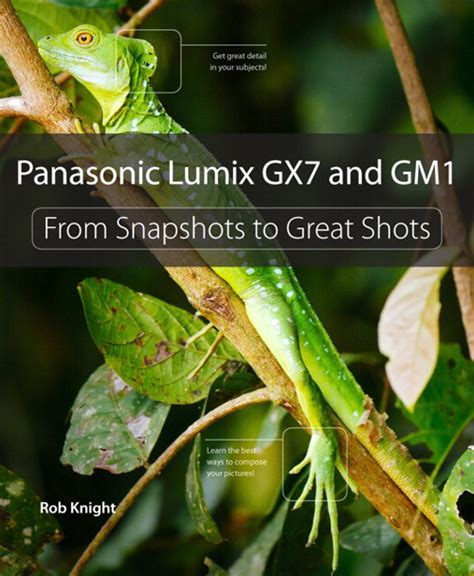 panasonic lumix gx7 and gm1 from snapshots to great shots PDF