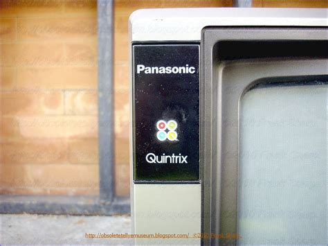 panasonic quintrix user guide Kindle Editon