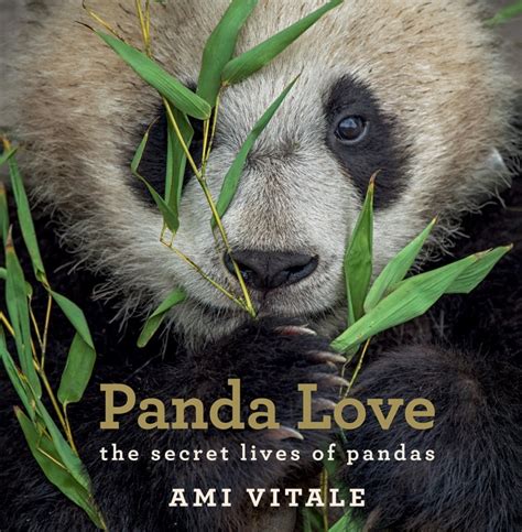 panda love the secret lives of pandas