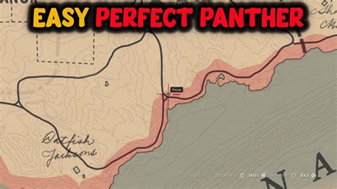 panther pelt rdr2