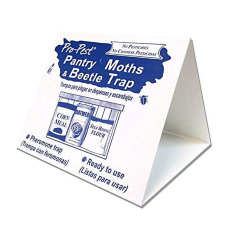 pantry beetle traps