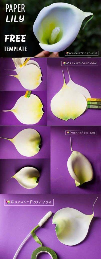 paper calla lily template Kindle Editon