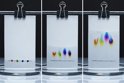 paper chromatography experiment with markers PDF