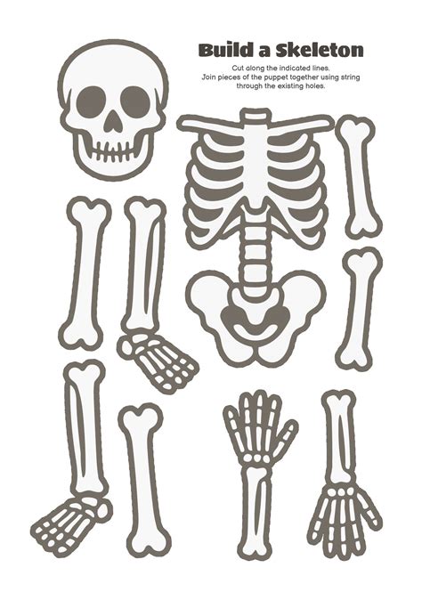 paper cut out skeleton template Kindle Editon