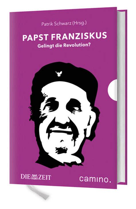 papst franziskus gelingt die revolution PDF