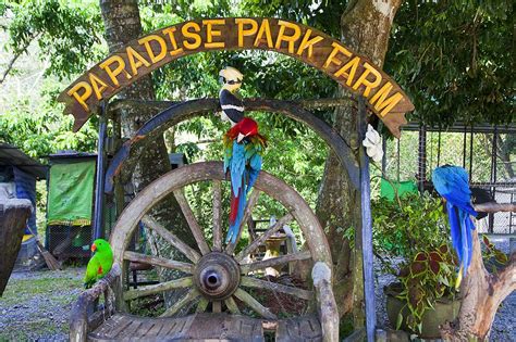 paradise park farm