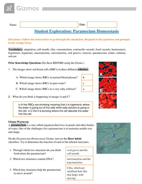 paramecium homeostasis gizmo answers Epub