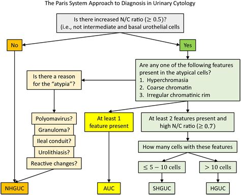 paris system reporting urinary cytology Reader