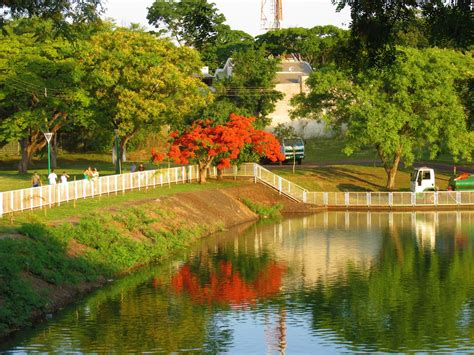 parque alfredo werner nyffeller