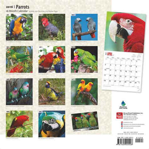 parrots calendar multilingual edition Reader