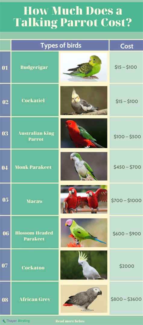 parrots price