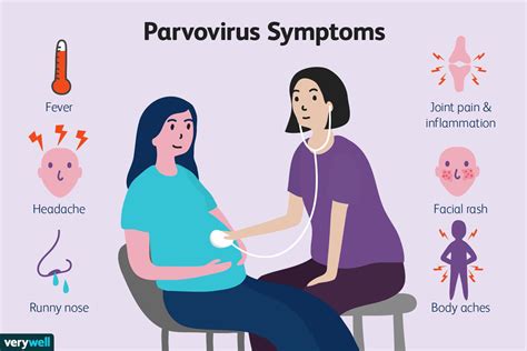 parvo virus symptoms in humans