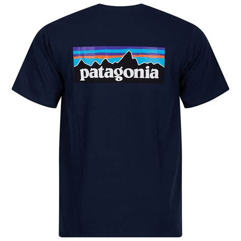 patagonia tshirt