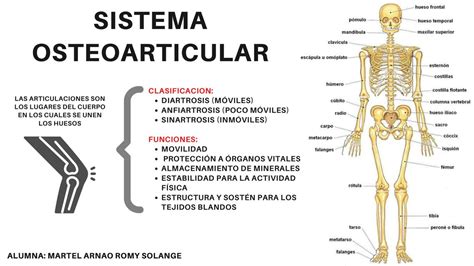 patologia osteomioarticular